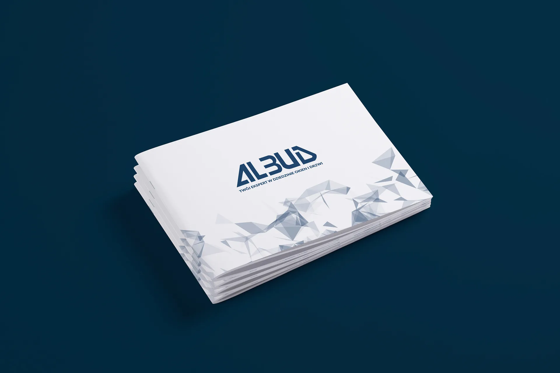 Katalog produktowy firmy Albud